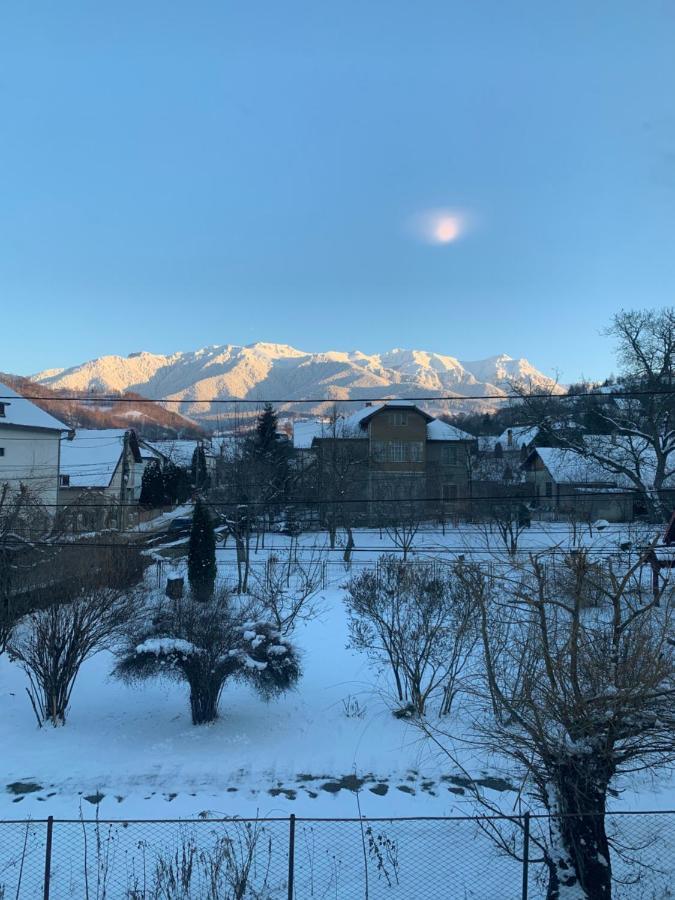 Vila Codreanu Bran  Exteriér fotografie