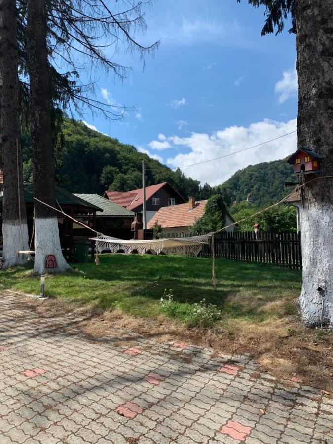 Vila Codreanu Bran  Exteriér fotografie
