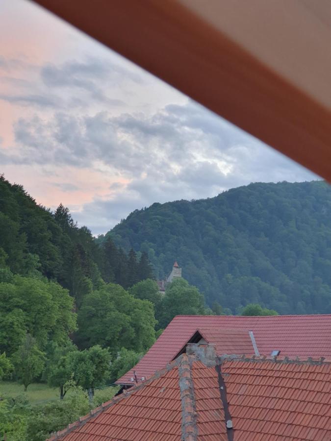 Vila Codreanu Bran  Exteriér fotografie