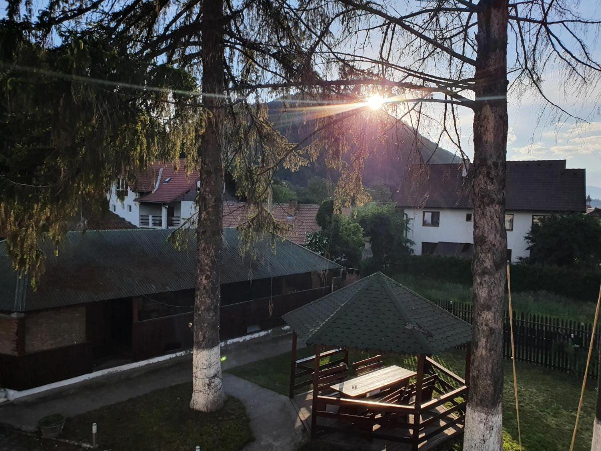 Vila Codreanu Bran  Exteriér fotografie