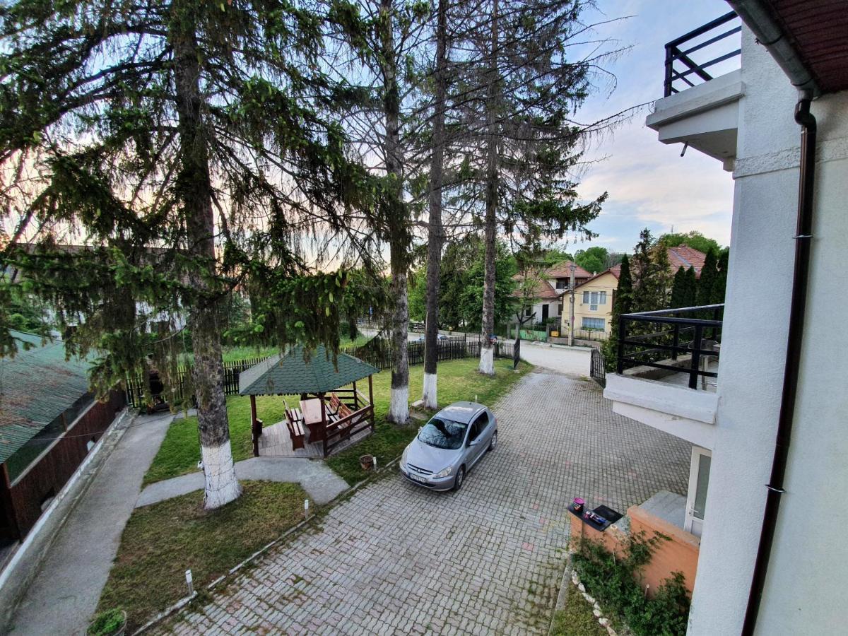 Vila Codreanu Bran  Exteriér fotografie