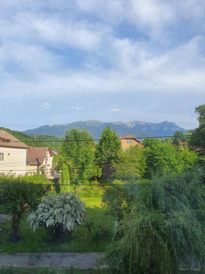 Vila Codreanu Bran  Exteriér fotografie