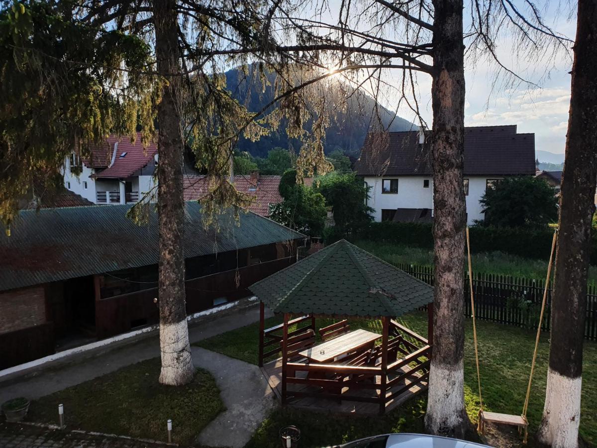 Vila Codreanu Bran  Exteriér fotografie