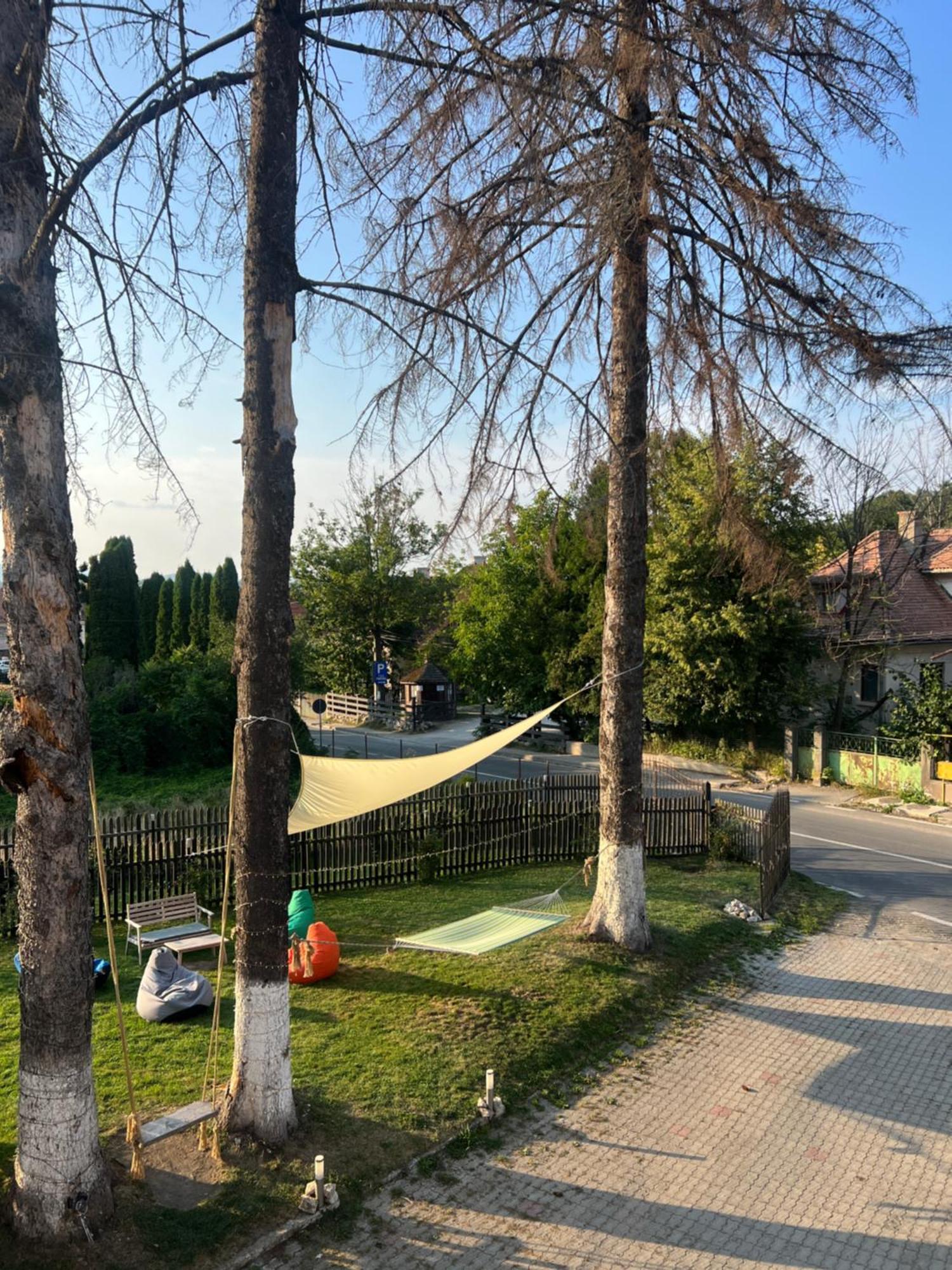 Vila Codreanu Bran  Exteriér fotografie
